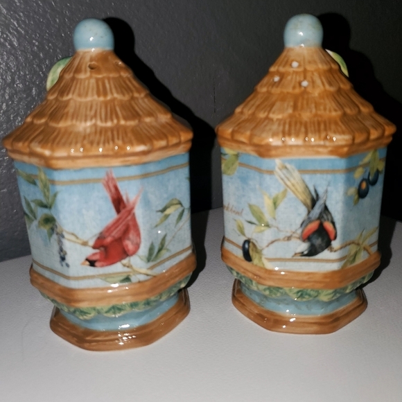 Certified International Other - Certified International Botanical Birds Salt & Pepper Set